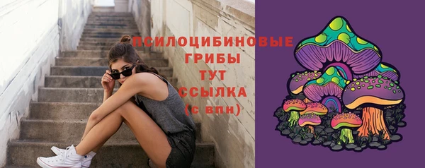 кокс Баксан