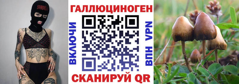 Галлюциногенные грибы Cubensis  Верхнеуральск 